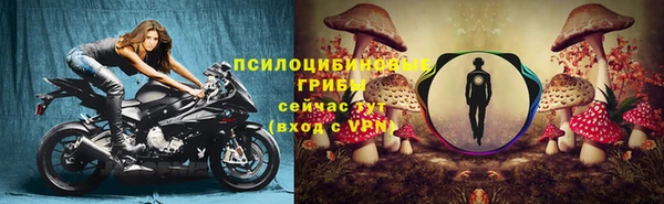 сатива Алексеевка