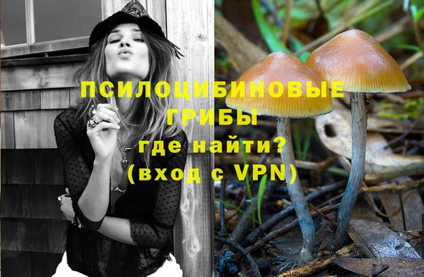 сатива Алексеевка